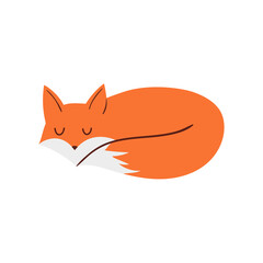 Obraz premium Vector cute fox. Vector illustration in flat style