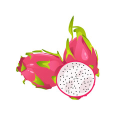 Dragon fruit on a white background. Pitaya Vector Illustration
