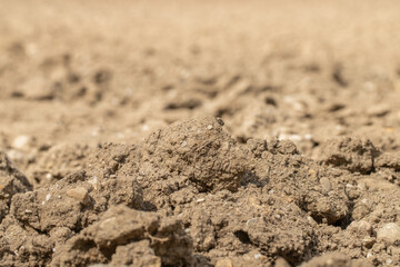 Closeup of plowed and fertile brown soil. Copy space.