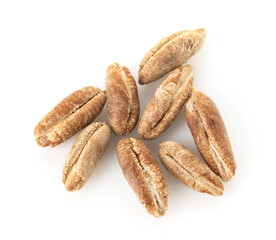 Seeds of date palm seeds on a white background