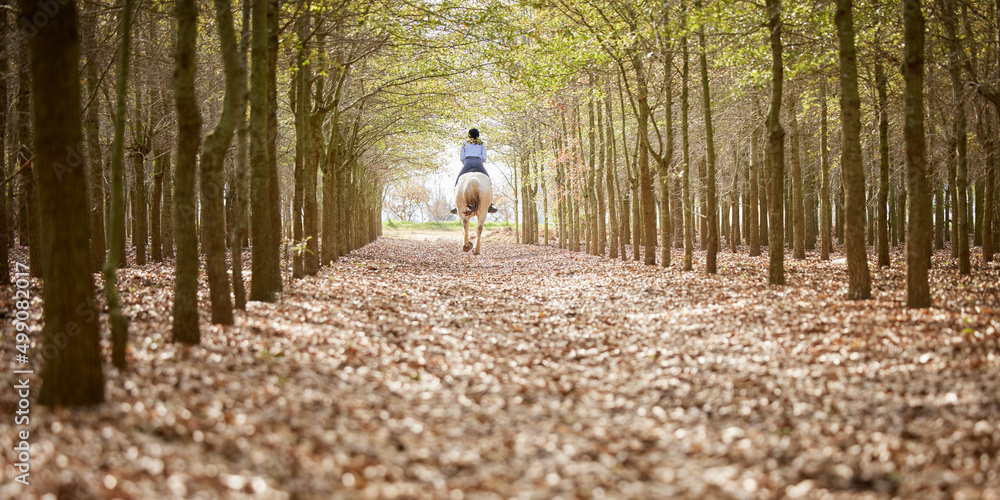 Canvas Prints This is what freedom looks like. Full length shot of an unrecognisable woman horseback riding through the forest during the day.