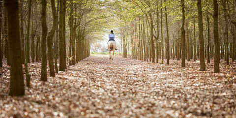 Obraz premium This is what freedom looks like. Full length shot of an unrecognisable woman horseback riding through the forest during the day.