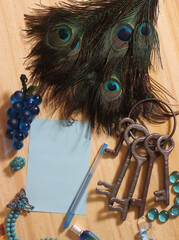 Notepaper and Pen on Table Surrounded By Peacock Feathers and Jewelry