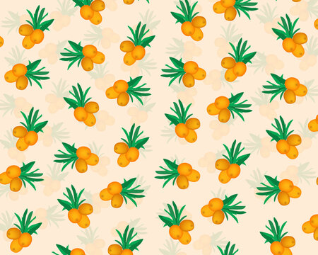 seabuckthorn fruit pattern design illusration