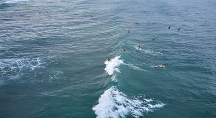Obraz premium Aerial view of surfers waiting for the wave. Sri Lanka, Midigama
