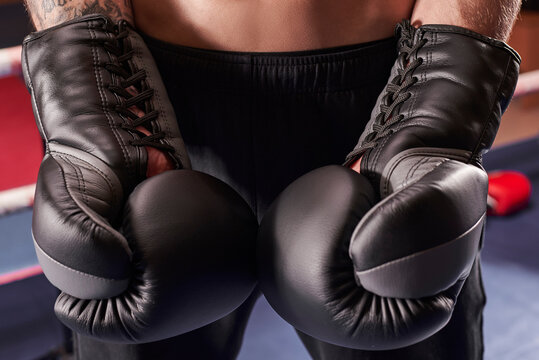 Image of boxing gloves. The concept of mixed martial arts.
