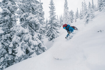 Skier moving in snow powder in forest on a steep slope of  ski resort. Freeride, winter sports outdoor