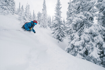 Fototapeta na wymiar Skier moving in snow powder in forest on a steep slope of ski resort. Freeride, winter sports outdoor
