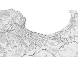 Fototapeta premium Urban city map of Algiers. Vector poster. Black grayscale street map.