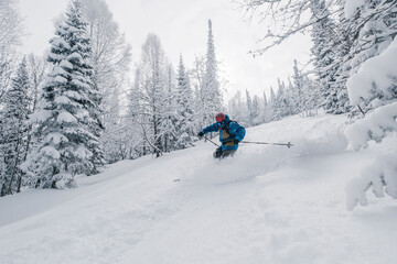 Skier moving in snow powder in forest on a steep slope of  ski resort. Freeride, winter sports outdoor