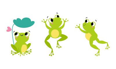 Set of cute little green baby frog in different actions cartoon vector illustration