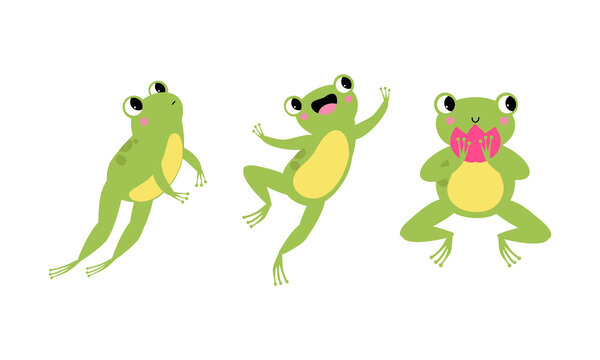 Set of funny green little frog in different actions cartoon vector illustration