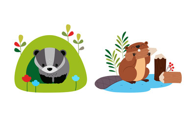 Cute badger sitting in burrow and beaver chewing wood cartoon vector illustration © topvectors