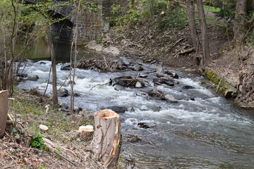 Nette mit abgeholzten Ufern, ein Jahr nach der Flut