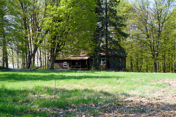 KEWADIN, MICHIGAN, UNITED STATES - MAY 16, 2018: Abandoned wooden cabin in the woods