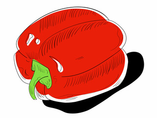 Sweet red pepper line icon. Red and green color. Health food. Fresh vegetables vector set on white background.