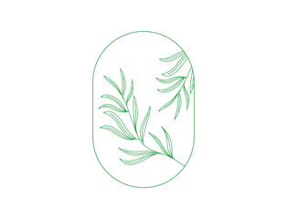 tea tree leaf Cosmetics and medical plant. hand drawn vector illustration 