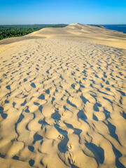  Top of the Dune du Pilat  with nobody in sight
