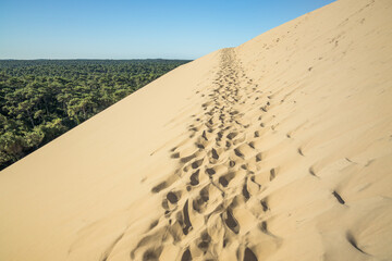 Sandy path of the eastern side of the Dune du Pilat with a view on the Landes forest the largest maritime-pine forest in Europe