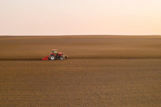 Tractor pulls subsoiler to prepare beds for sowing grain in cultivated field at sunset. Agricultural machinery operates in countryside