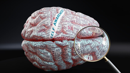 Self awareness in human brain, a concept showing hundreds of crucial words related to Self awareness projected onto a cortex to fully demonstrate broad extent of this condition, 3d illustration