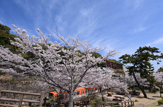 「須磨浦公園」の写真素材 | 178件の無料イラスト画像 | Adobe Stock