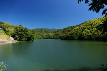 青空の下の山の中のダム湖
