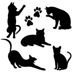 Cats silhouettes set vector illustration. Shadow pet sleeps, sits, plays, stands collection. Abstract image black cats