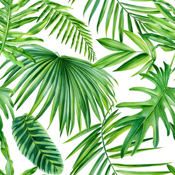 Seamless watercolor illustration of tropical leaves, jungle. Pattern with tropical texture background, wrapping paper