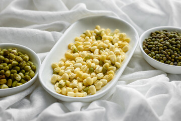 Organics fresh Baby Green Bean Sprouts in white ceramic bowl on a dark concrete background