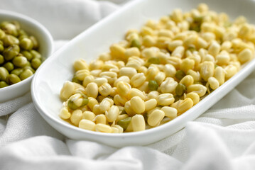 Organics fresh Baby Green Bean Sprouts in white ceramic bowl on a dark concrete background
