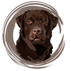 Brown labrador retriever portrait design. Vector illustration