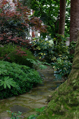 Trees in an urban park