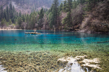 Fototapeta na wymiar Jiuzhaigou National Park, blue lakes, Sichuan province, China