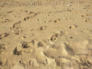 Footprints on the sand of Agrigento coast