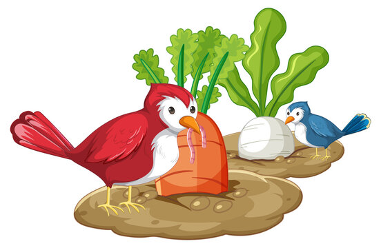 red bird eating worm, blue bird nearby clip art preview