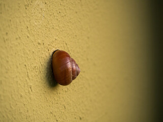 droga w górę © Mateusz