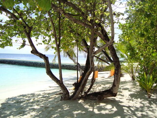 Maldive Dhiggiri