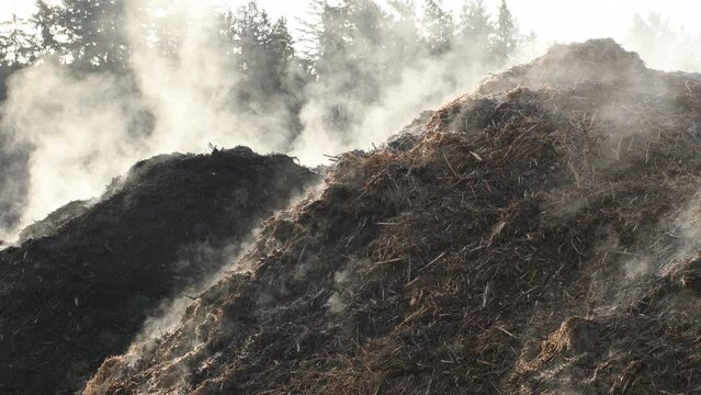 compost heap with steam in the morning
