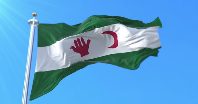 Flag of the Algerian nationalists in 1945, Setif revolt, Algeria. Loop