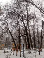 City park with children's amusement rides against the backdrop of tall trees. Beautiful winter photography.