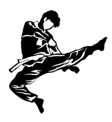 karate taekwondo illustration vector logo