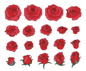 薔薇の花　セット　茎、葉無し