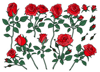 薔薇の花　セット　茎、葉有り © KOTSUMI KAWAUSO