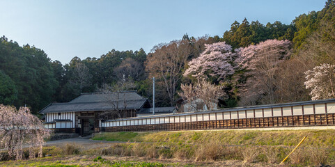 Fototapeta premium 春の古民家