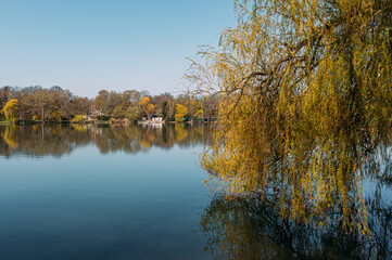 Fototapeta na wymiar Trauerweide am See mit Spiegelung im Wasser vor blauen Himmel horizontal mit Freiraum für Text