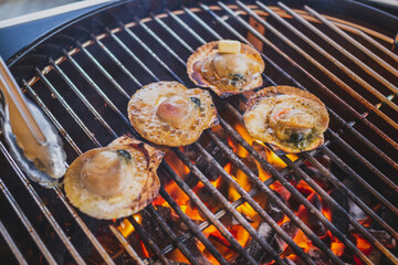 バーベキューでホタテを焼く