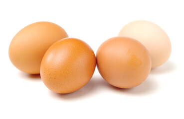 egg on a white background