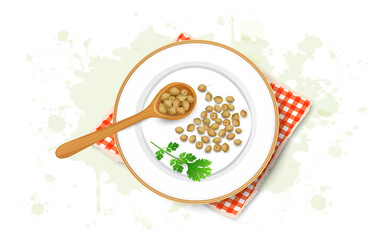 Coriander spices seeds vector illustration from top view