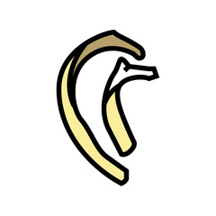 rib bone color icon vector. rib bone sign. isolated symbol illustration